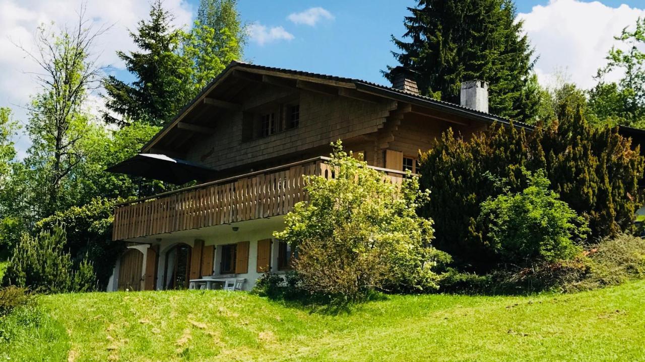 Chalet Les Marmottes Saint-Jean-de-Sixt Dış mekan fotoğraf