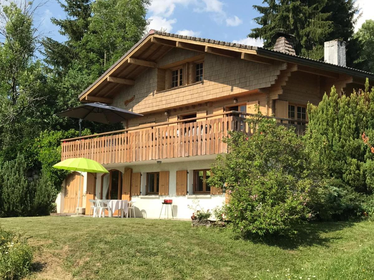 Chalet Les Marmottes Saint-Jean-de-Sixt Dış mekan fotoğraf