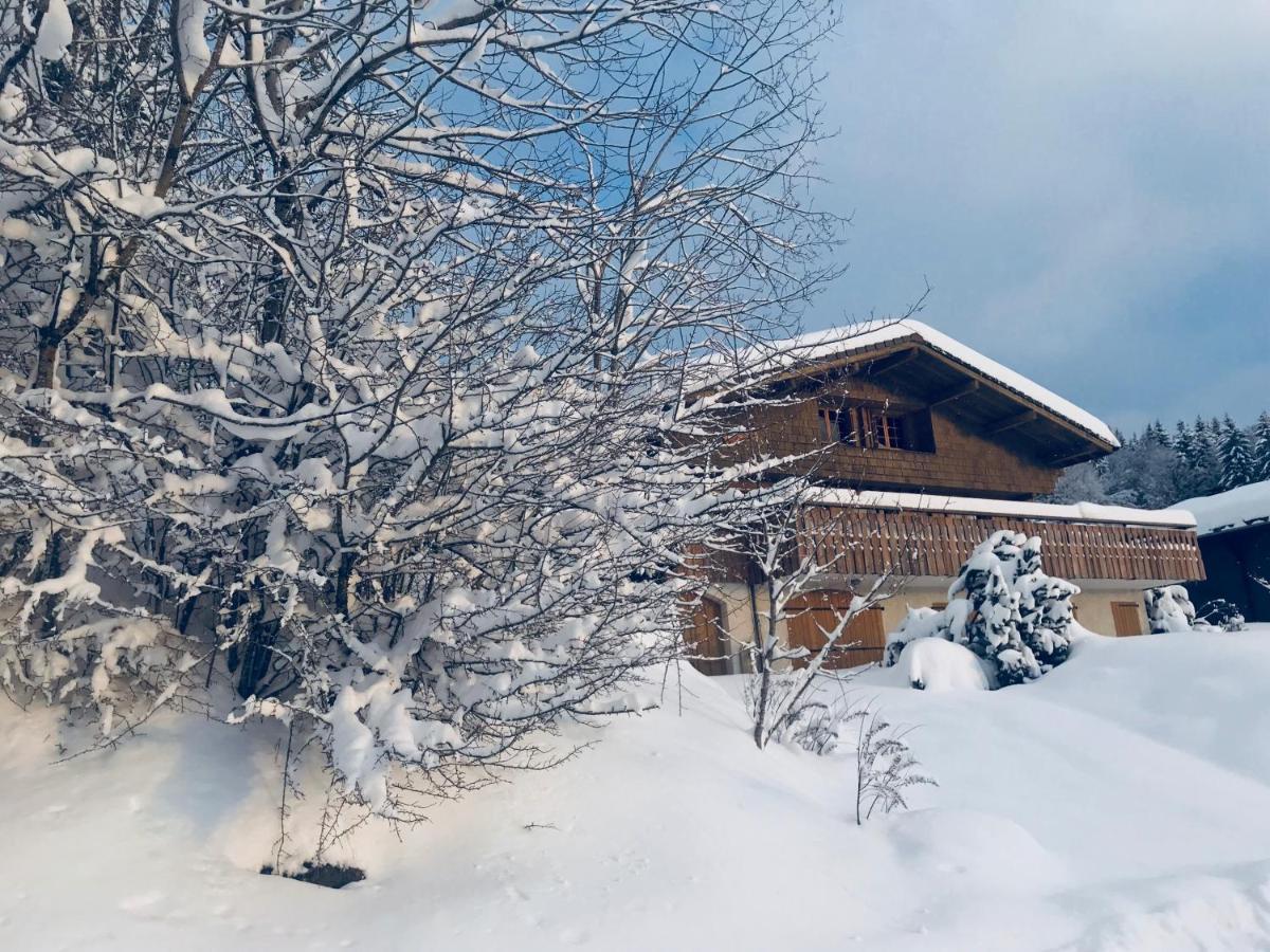 Chalet Les Marmottes Saint-Jean-de-Sixt Dış mekan fotoğraf
